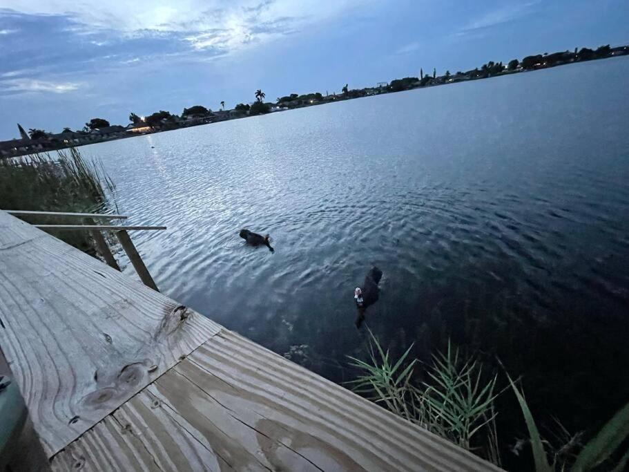 Supervilla - Lakefront - Sunsets, Kayaks, Grill Форт-Лодердейл Экстерьер фото